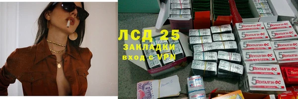 прущие грибы Балахна