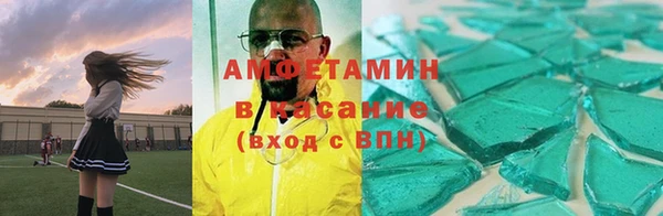 прущие грибы Балахна