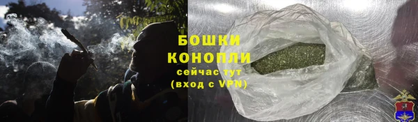 прущие грибы Балахна