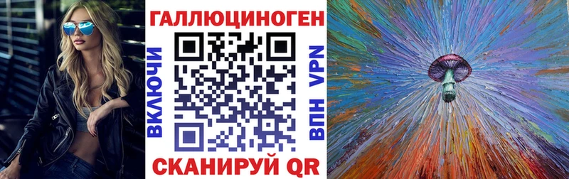 Псилоцибиновые грибы Psilocybine cubensis  Борисоглебск 
