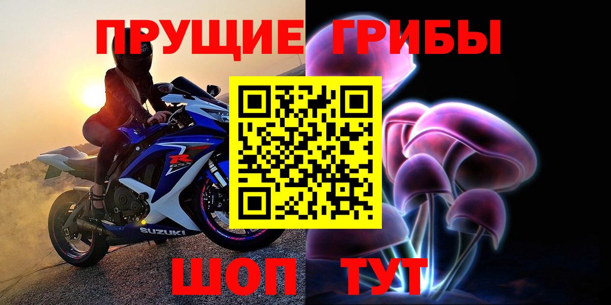 Псилоцибиновые грибы Psilocybine cubensis Борисоглебск
